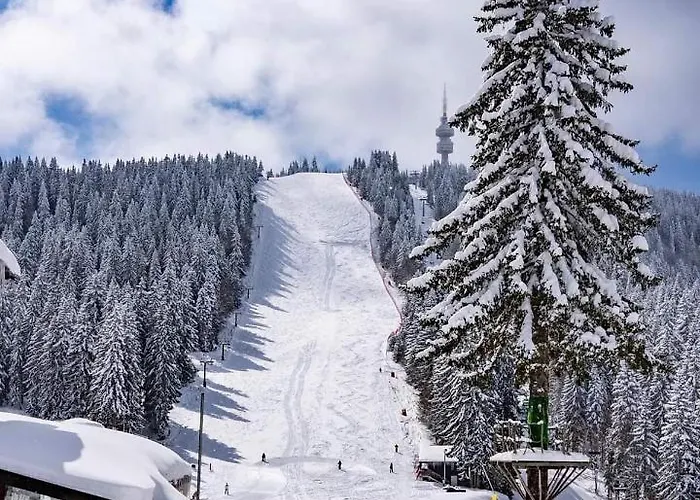 Apartament мезонет лапландия Pamporovo